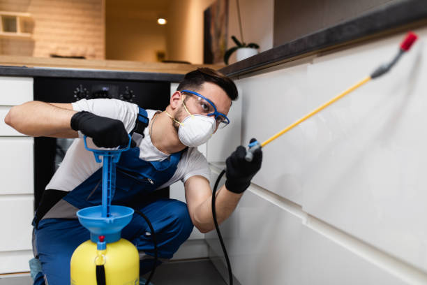 Best Pest Inspection Near Me  in Chester, VA
