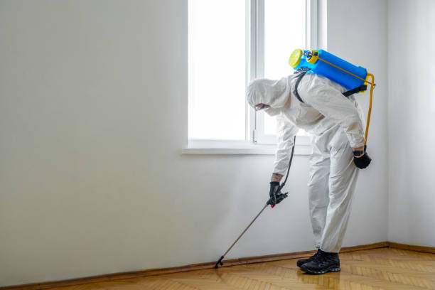 Best Rat Extermination Near Me  in Chester, VA